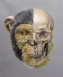 Cushing Visual Artists Garner Multiple National Art Awards Cushing Visual Artists Garner Multiple National Art Awards